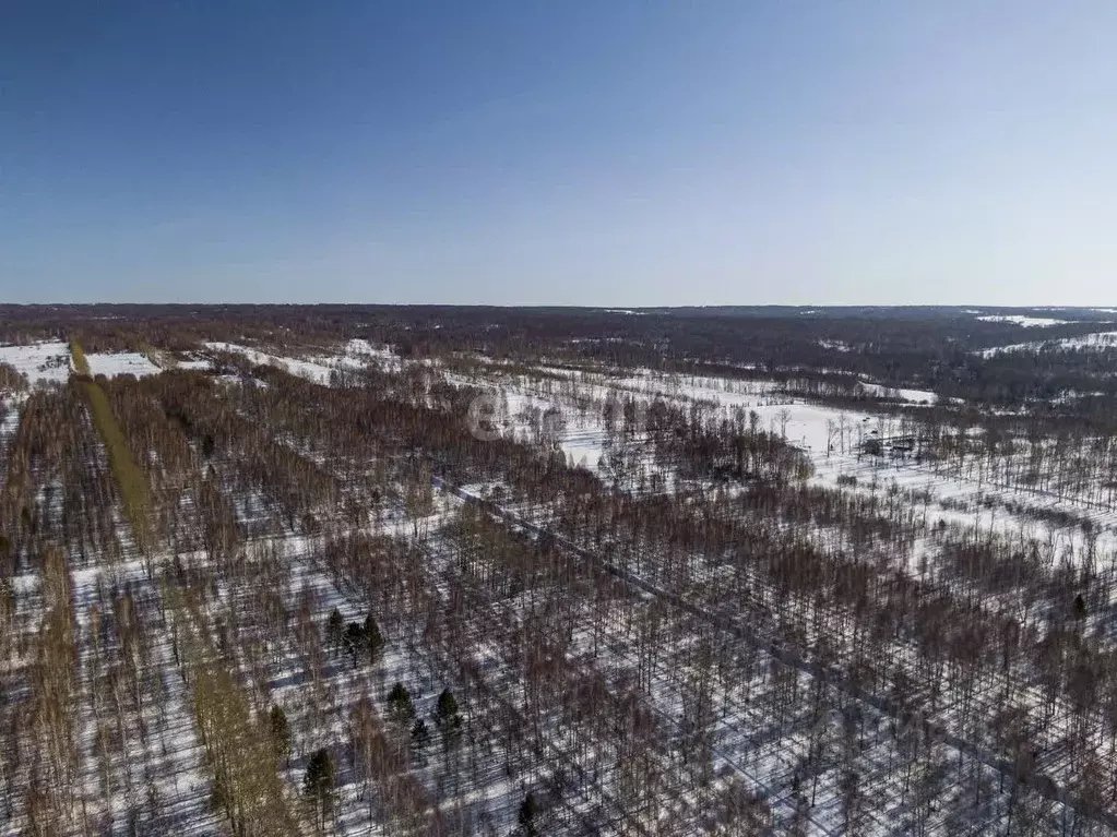 Участок в Новосибирская область, Здвинский район, с. Березовка  (500.0 ... - Фото 0