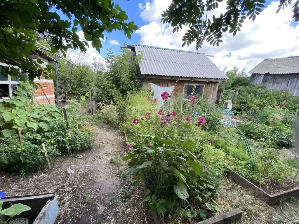 Дом в Саратовская область, Красноармейск 1 Мая ул., 35 (78 м) - Фото 1