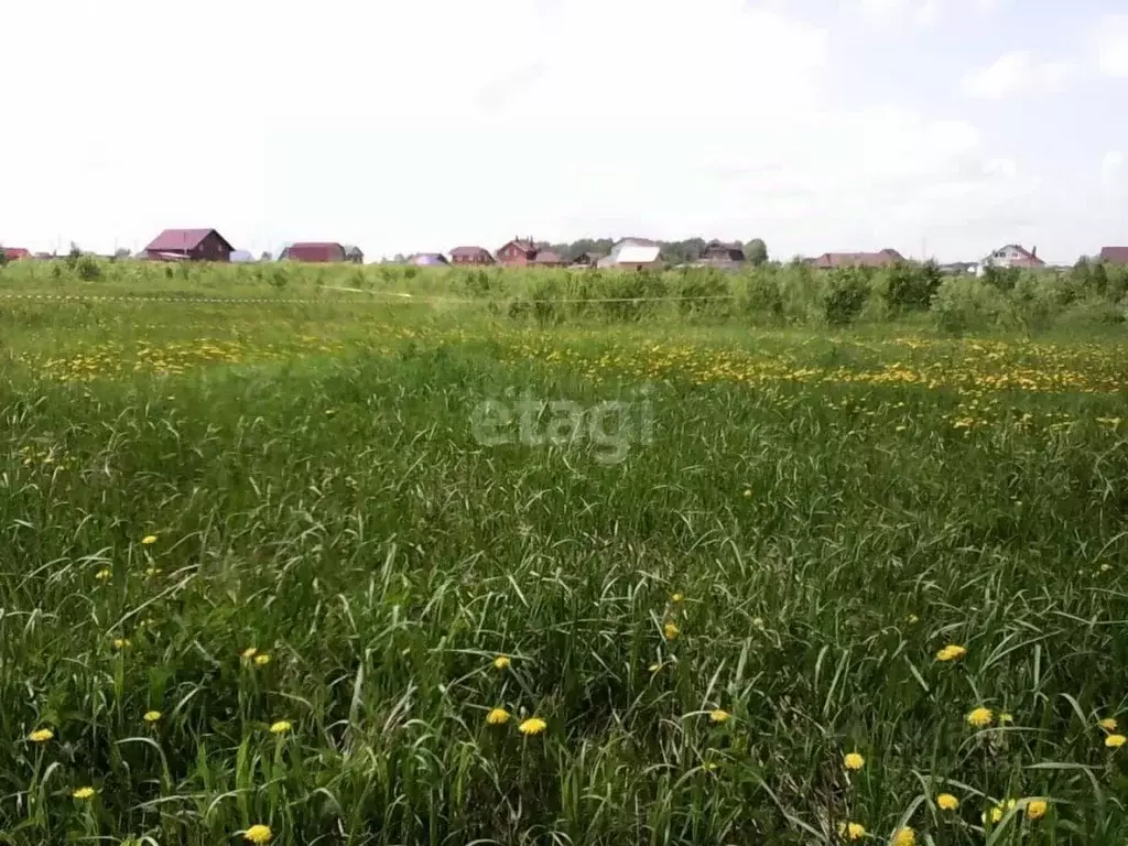 Участок в Томская область, Томский район, д. Лязгино ул. Новая (9.9 ... - Фото 0