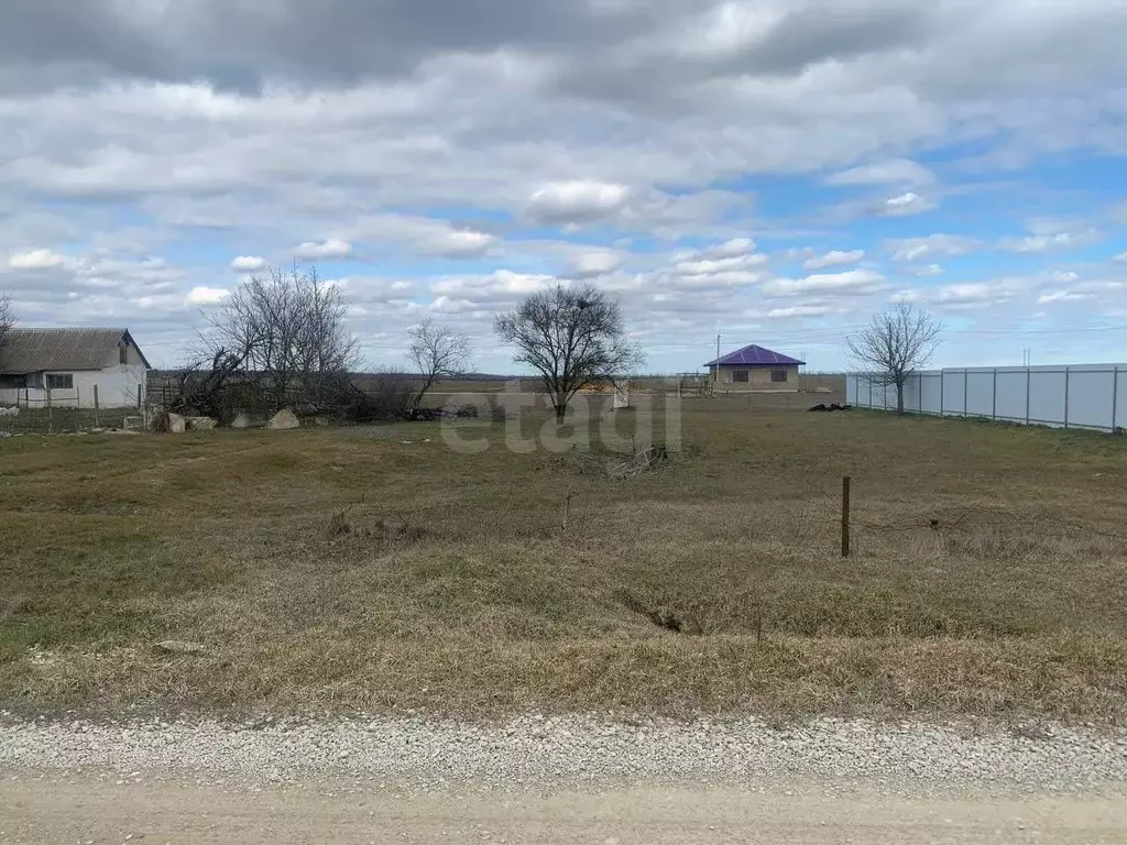 Участок в Крым, Красногвардейский район, с. Полтавка ул. ... - Фото 2