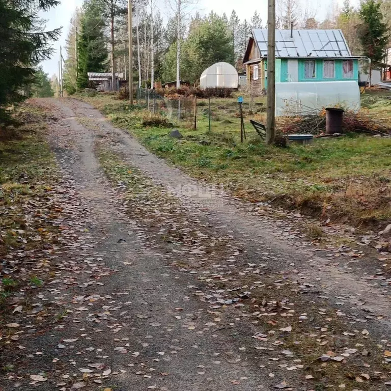 Участок в Карелия, Прионежский район, Деревянское с/пос, Малахит СНТ  ... - Фото 2