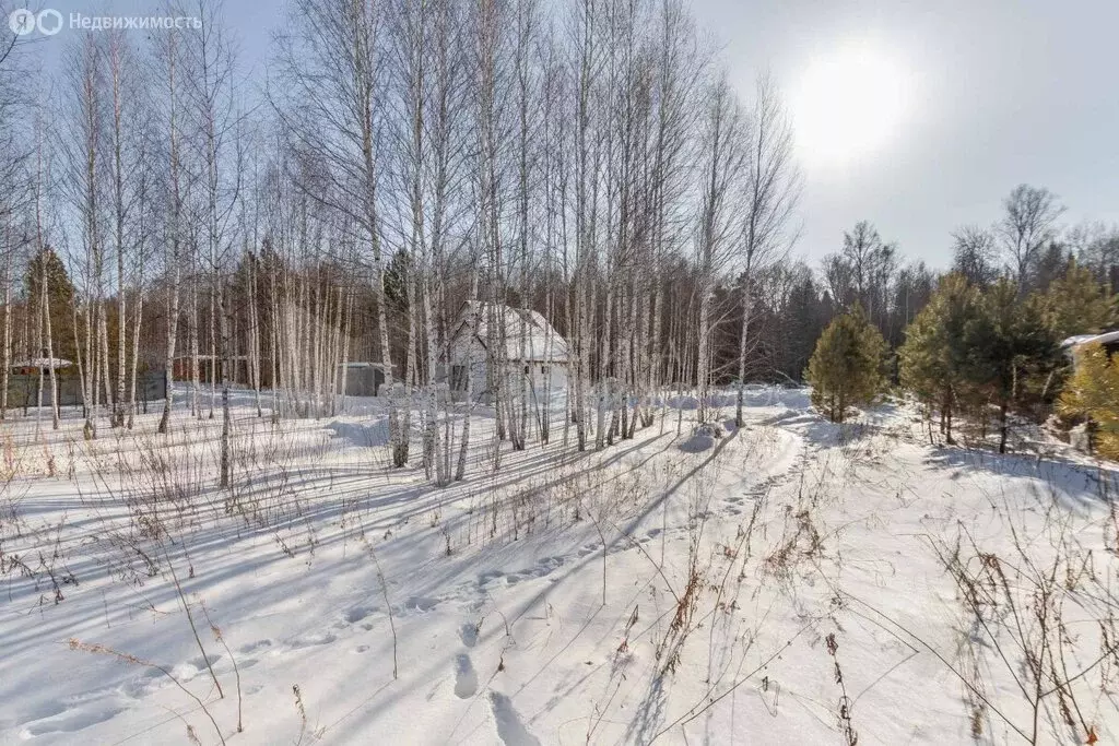 Участок в Нижнетавдинский район, садоводческое некоммерческое ... - Фото 0