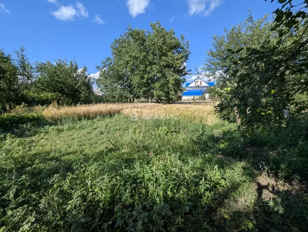 Участок в Белгородская область, Белгородский район, с. Стрелецкое ... - Фото 1