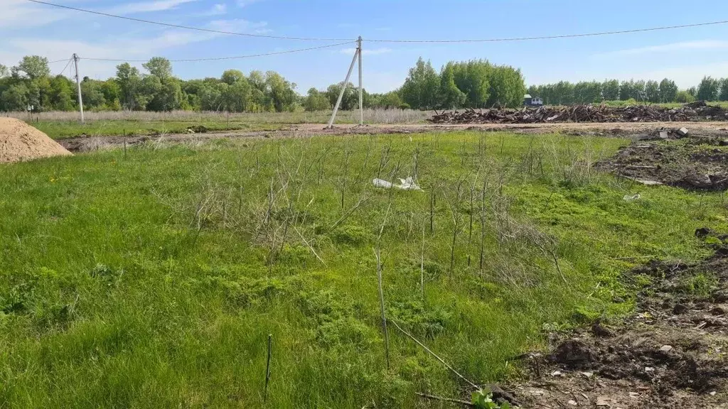 Участок в Ульяновская область, Мелекесский район, Лебяжинское с/пос, ... - Фото 1