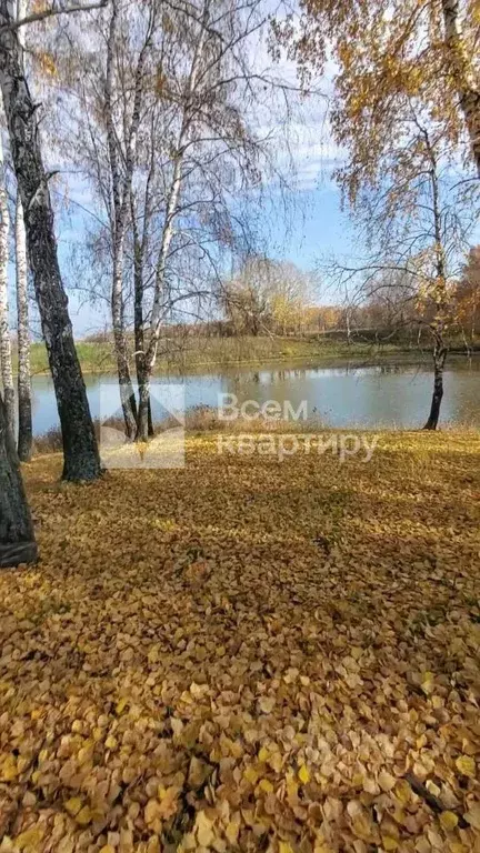 Участок в Новосибирская область, Искитимский район, пос. Каменка ... - Фото 0