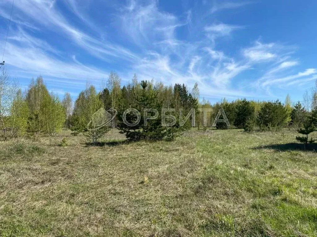 Участок в Тюменская область, Тюмень Велижанский тракт, 7-й км (9.0 ... - Фото 0