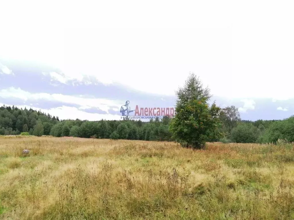 Участок в Карелия, Лахденпохский муниципальный округ, пос. Кайвомяки  ... - Фото 1
