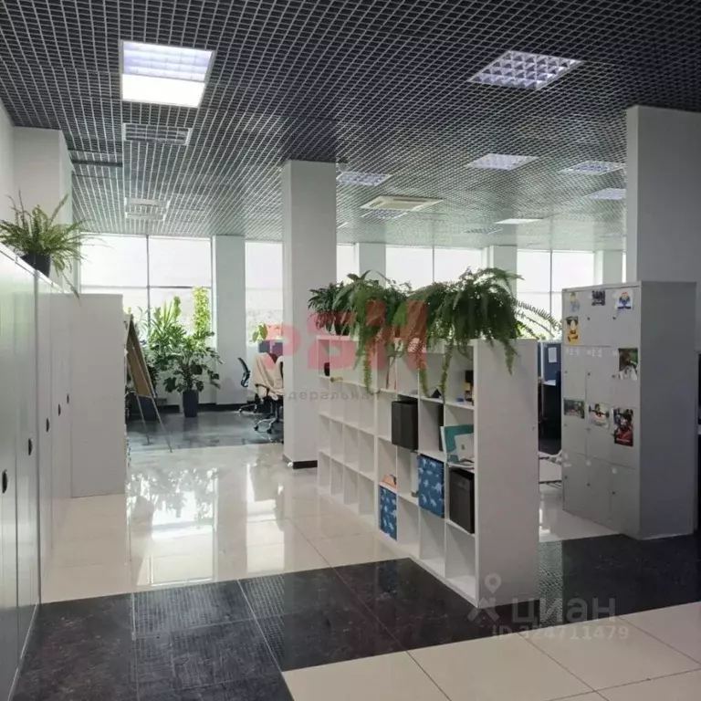 Офис в Воронежская область, Воронеж ул. Комиссаржевской, 10 (748 м) - Фото 1