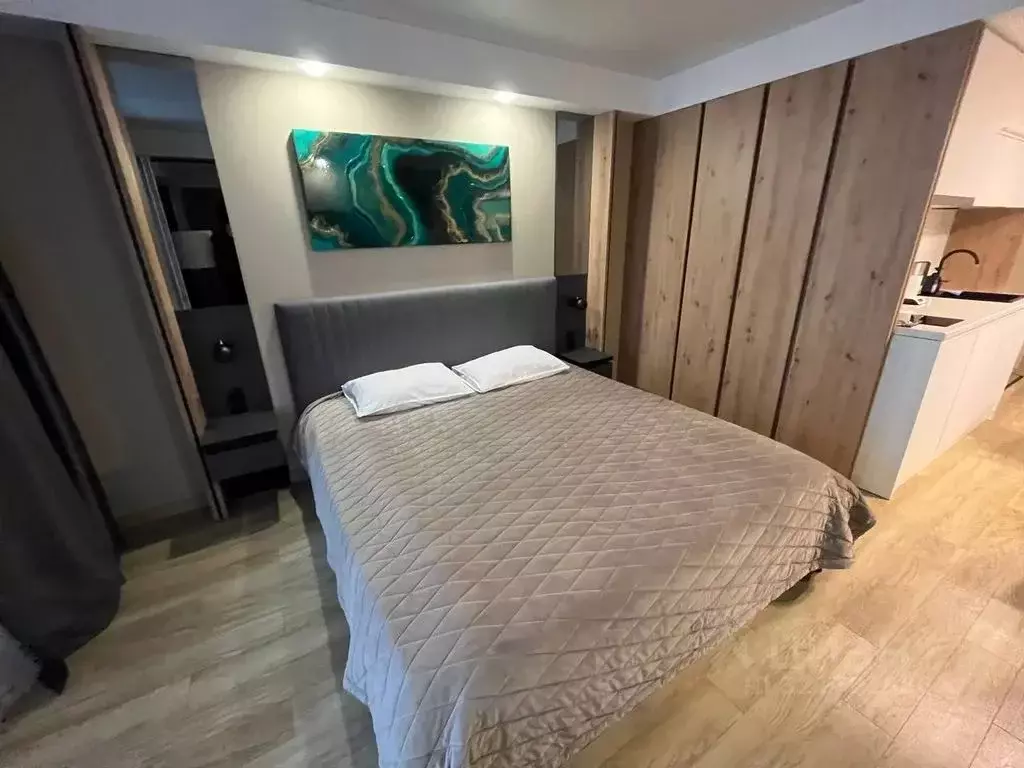 1-к кв. Санкт-Петербург ул. Салова, 61 (25.0 м) - Фото 2