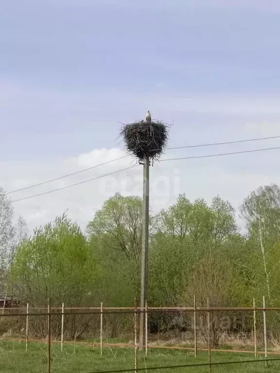 Участок в Тульская область, Киреевский район, Бородинское с/пос, д. ... - Фото 1