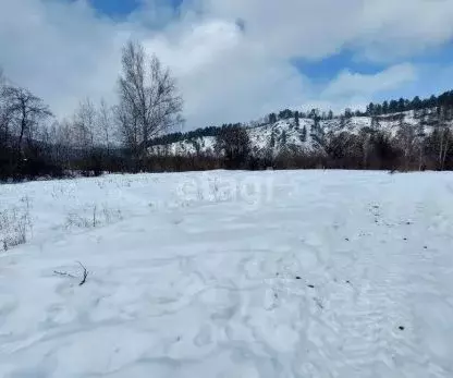 Участок в Алтай, Майминский район, Поселок филиал ул. А.Н. Муратова, ... - Фото 1