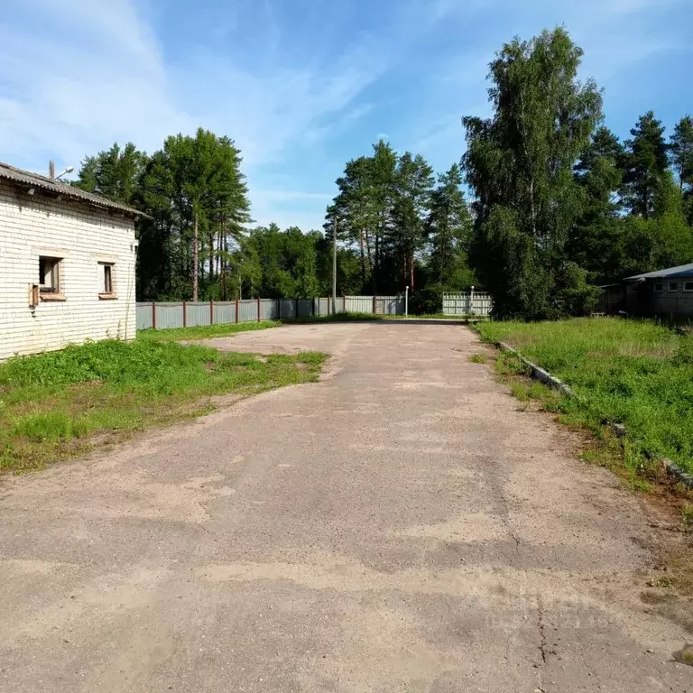 Склад в Псковская область, Псковский район, Торошинская волость, д. ... - Фото 1