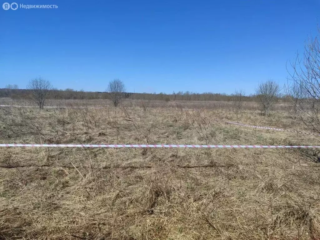 Участок в Ленинградская область, Гатчинский муниципальный округ, ... - Фото 2