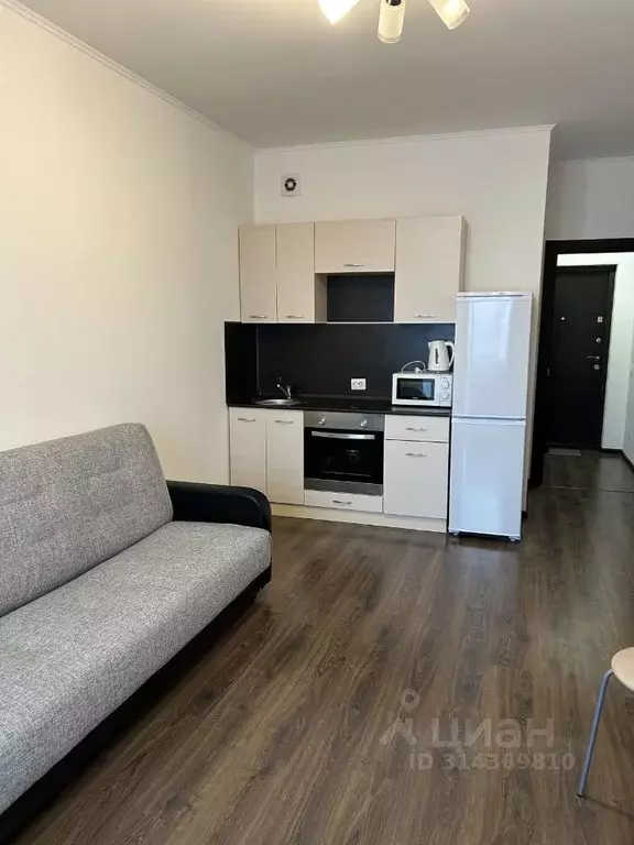 Студия Санкт-Петербург ул. Плесецкая, 20к1 (23.9 м) - Фото 1