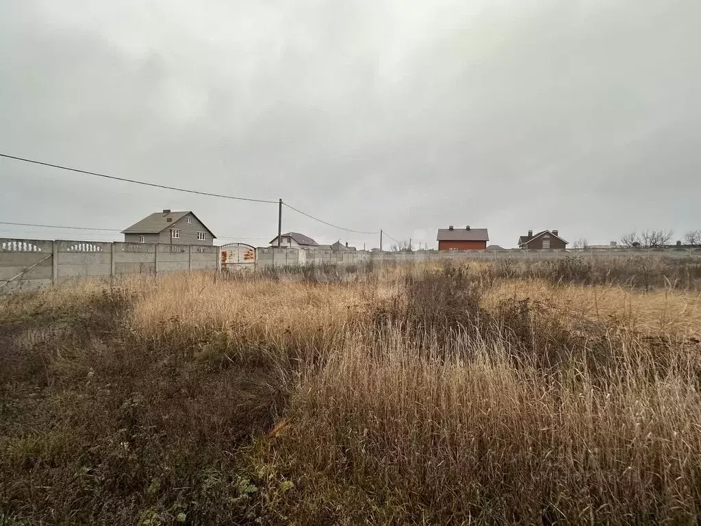 Участок в Белгородская область, Белгородский район, Комсомольское ... - Фото 1