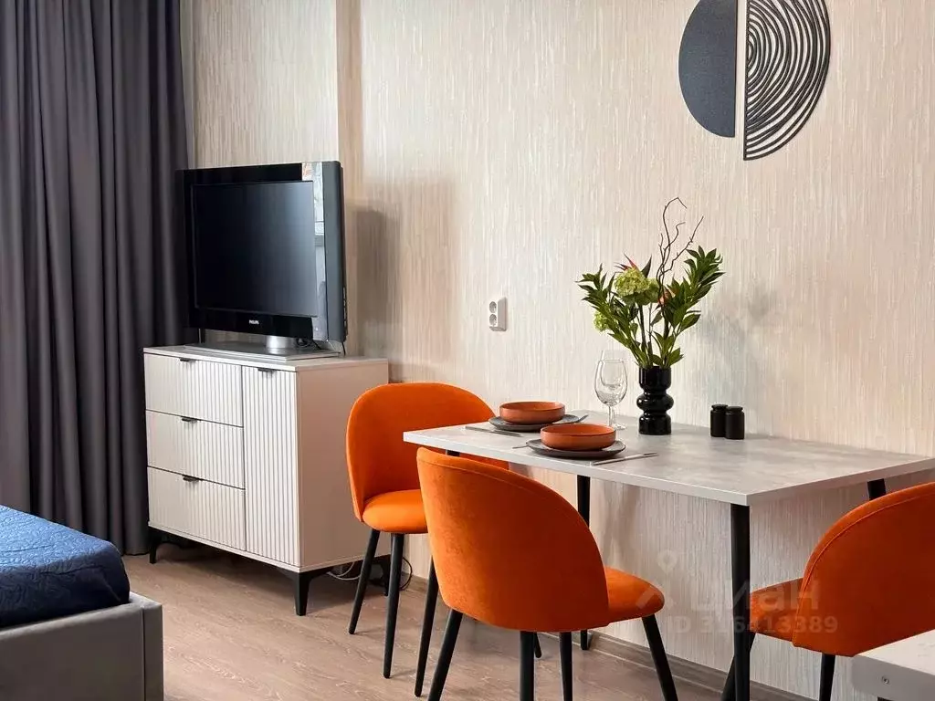 Студия Челябинская область, Челябинск Университетская Набережная ул., ... - Фото 2