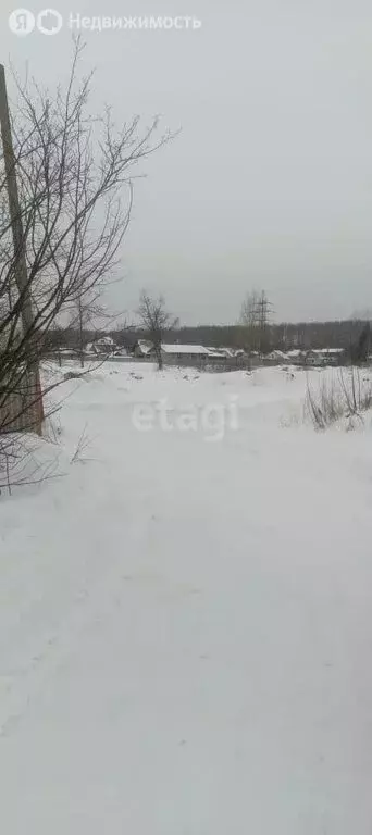 Участок в Скворчихинский сельсовет, деревня Лесное (7.5 м) - Фото 1
