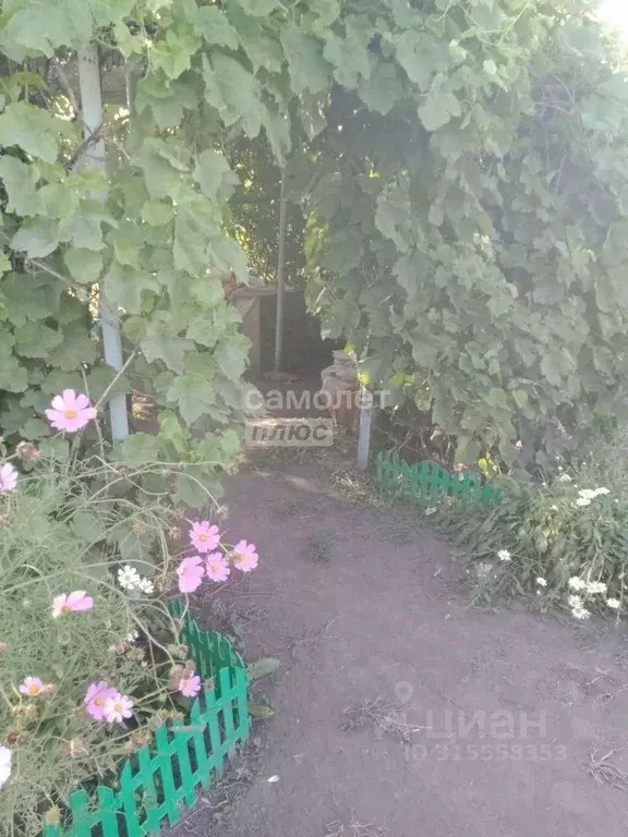 Участок в Курская область, Курск Лавсан СНТ,  (10.0 сот.) - Фото 0