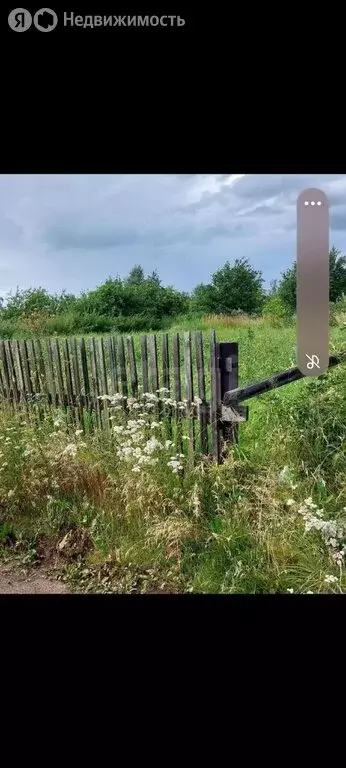Участок в Красноярский край, Емельяновский муниципальный округ, дачный ... - Фото 1