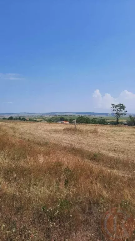 Участок в Крым, Красногвардейский район, с. Александровка  (200.0 ... - Фото 1