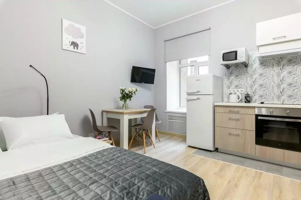 1-к кв. Санкт-Петербург Лиговский просп., 44Б (24.0 м) - Фото 0