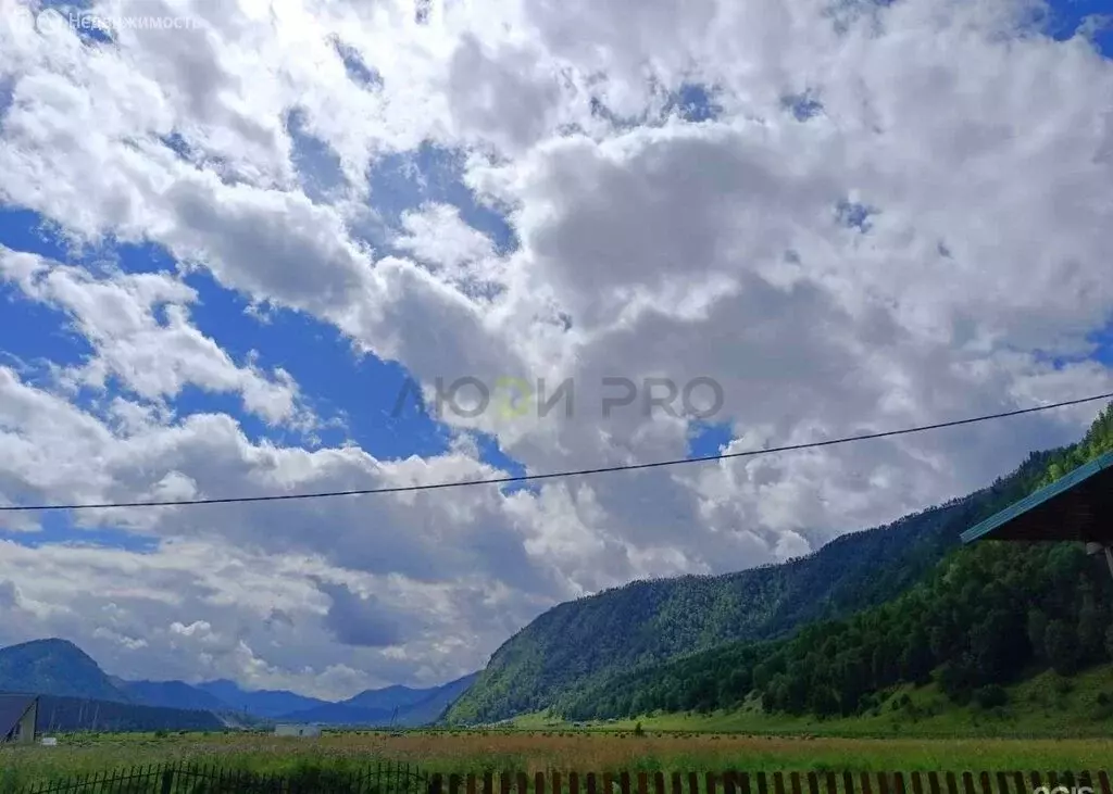 Участок в село Чемал, Лазурная улица (13 м) - Фото 2