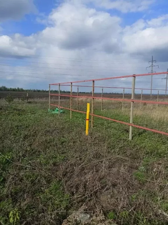 Участок в Тамбовская область, Тамбов городской округ, пос. ... - Фото 2