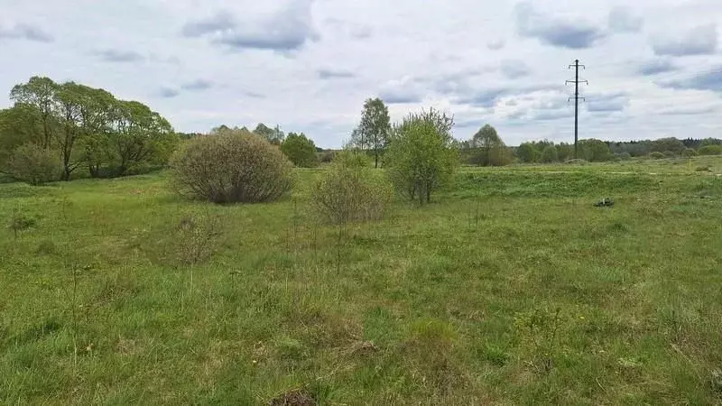 Участок в Калужская область, Малоярославецкий муниципальный округ, ... - Фото 2