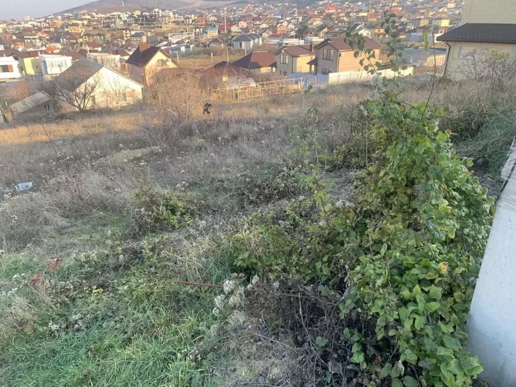 Участок в Краснодарский край, Анапа муниципальный округ, с. Супсех ул. ... - Фото 1