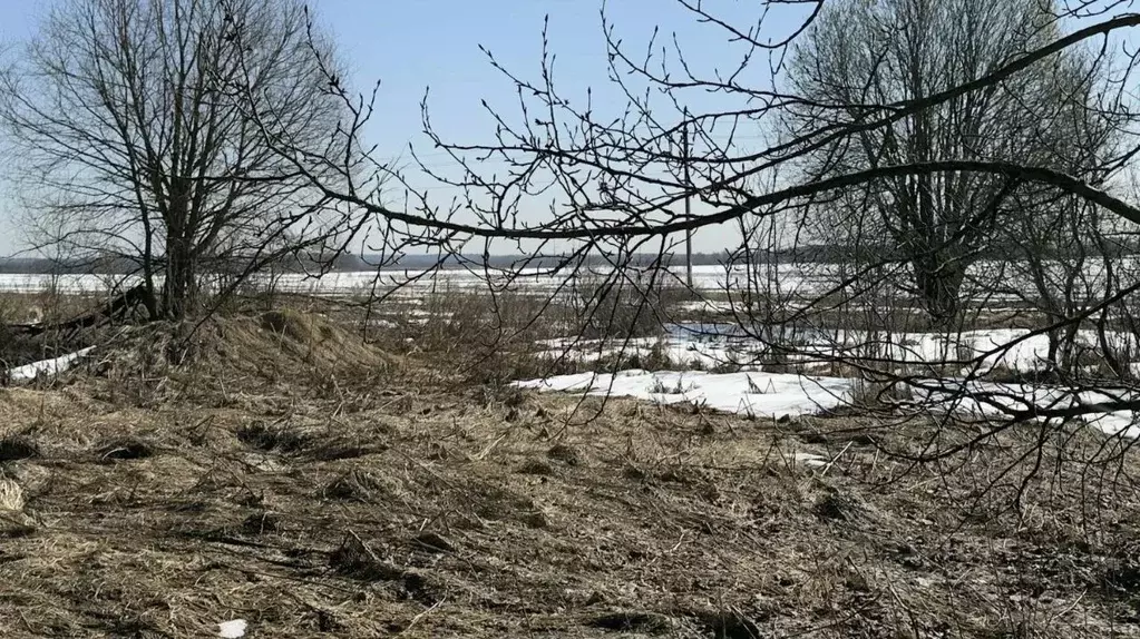 Участок в Московская область, Можайский муниципальный округ, д. Сельцы ... - Фото 2
