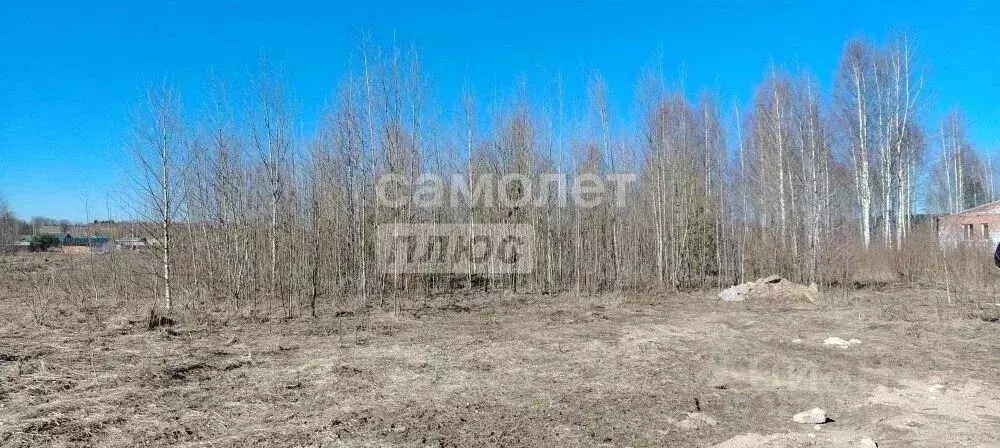Участок в Вологодская область, д. Водогино  (20.0 сот.) - Фото 1