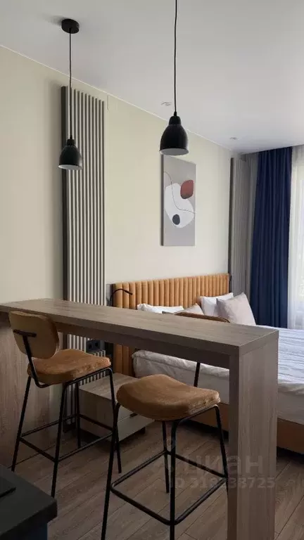 Студия Санкт-Петербург просп. Энергетиков, 8к2 (25.0 м) - Фото 0