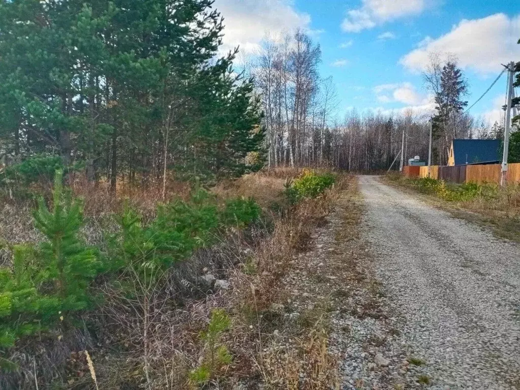 Участок в Свердловская область, Екатеринбург Созвездие Премиум ДПК,  ... - Фото 2