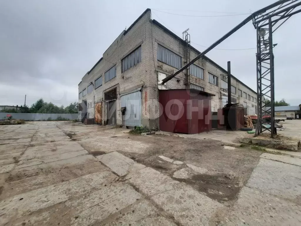 Сдам помещение свободного назначения, 300 м - Фото 1