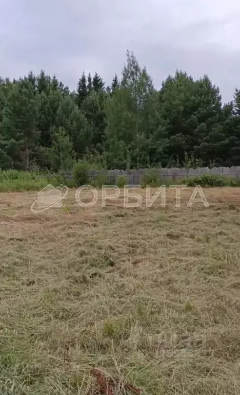 Участок в Свердловская область, Слободо-Туринский район, ... - Фото 1