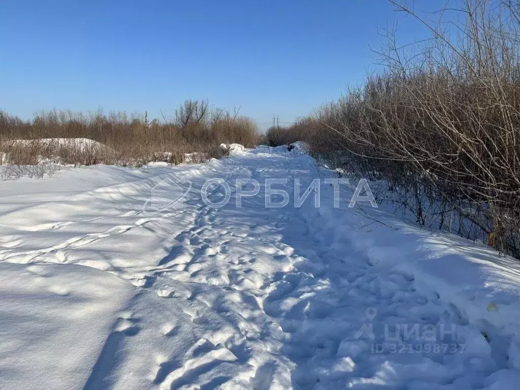 Участок в Тюменская область, Нижнетавдинский муниципальный округ, ... - Фото 0