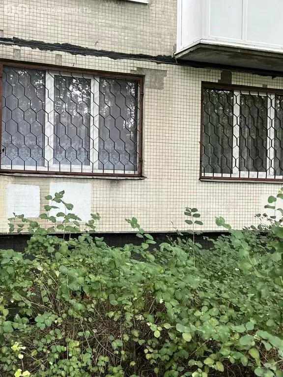 2-комнатная квартира: Санкт-Петербург, улица Крыленко, 33к2 (44.2 м) - Фото 1