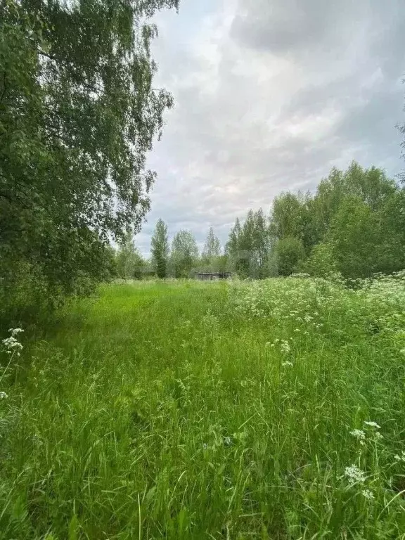 Участок в Вологодская область, Вологда Сохатый садоводческое ... - Фото 0