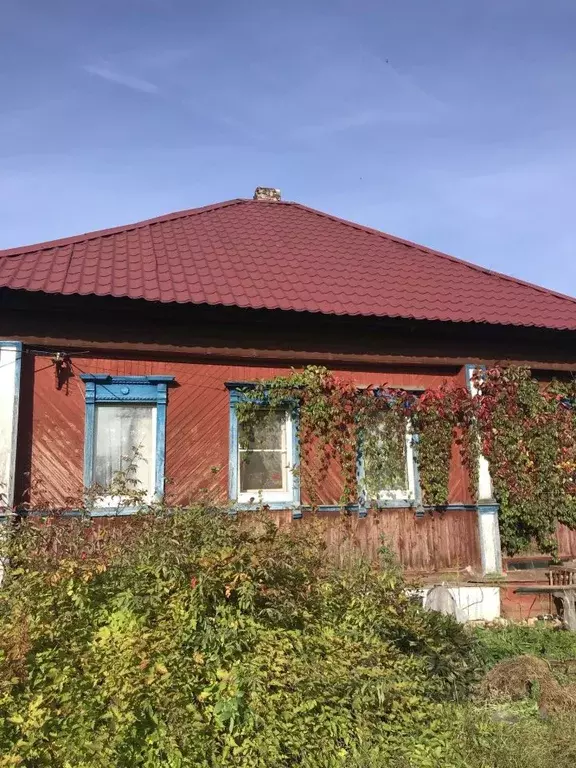 Дом в Нижегородская область, Красные Баки рп ул. Октябрьская, 5 (45 м) - Фото 1