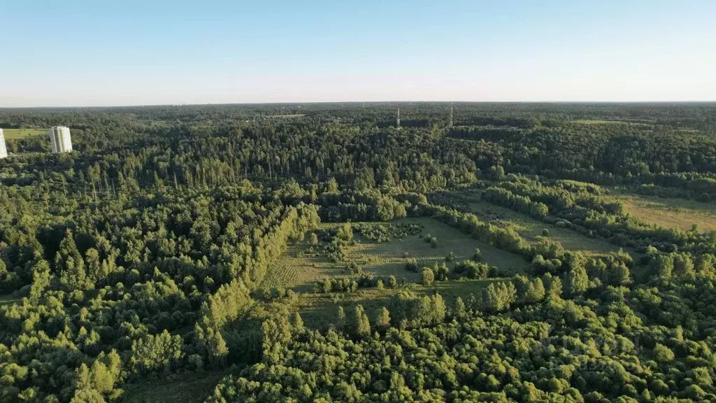 Участок в Московская область, Звенигород Одинцовский городской округ, ... - Фото 1