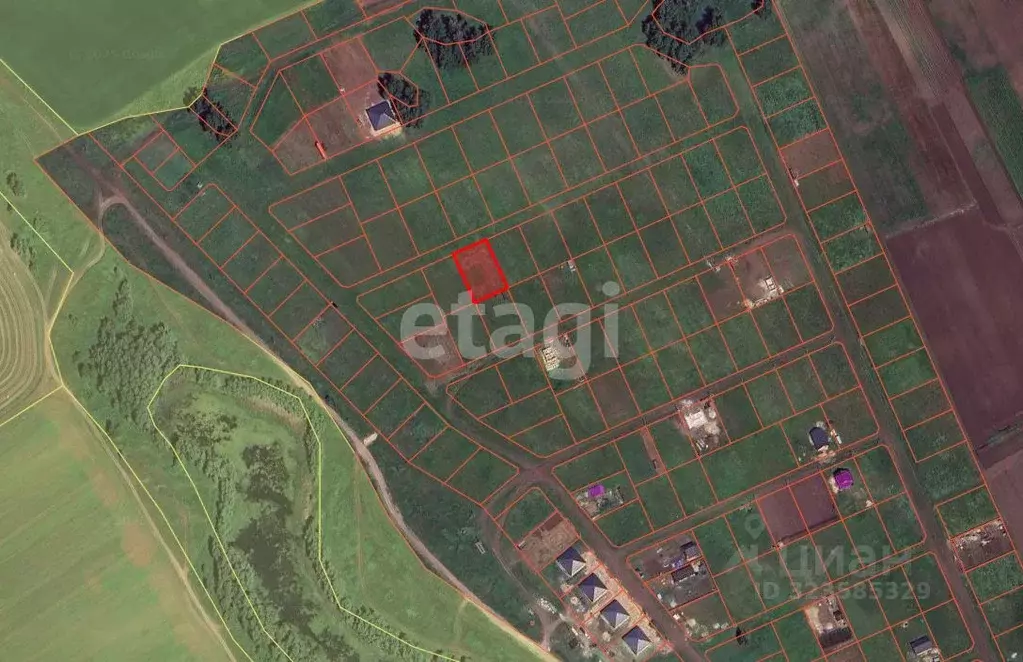 Участок в Новосибирская область, Новосибирский район, Морской ... - Фото 1