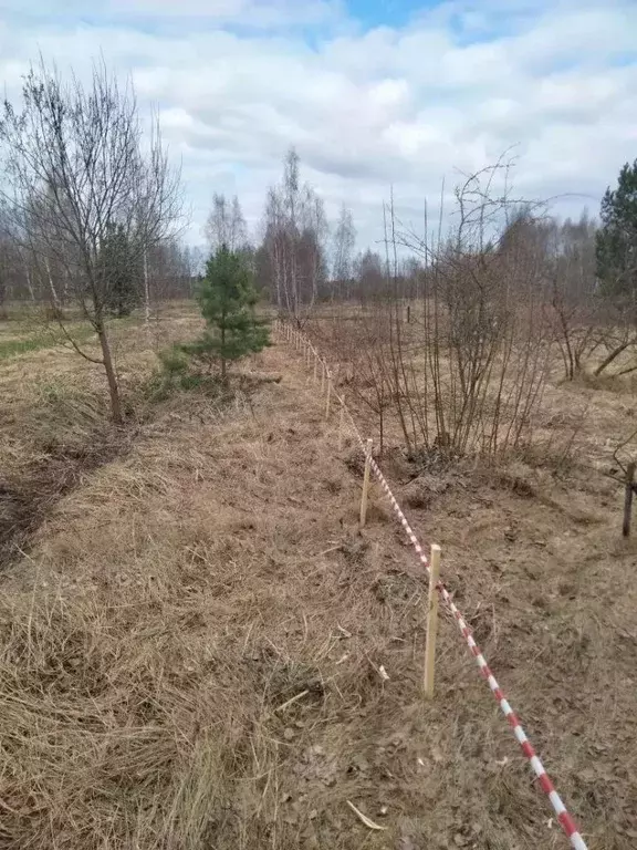 Участок в Московская область, Раменский муниципальный округ, д. ... - Фото 2