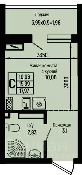 Студия Краснодарский край, Туапсинский муниципальный округ, с. Небуг ... - Фото 0