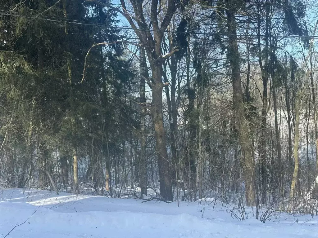 Участок в Московская область, Рузский муниципальный округ, Тучково пгт ... - Фото 1