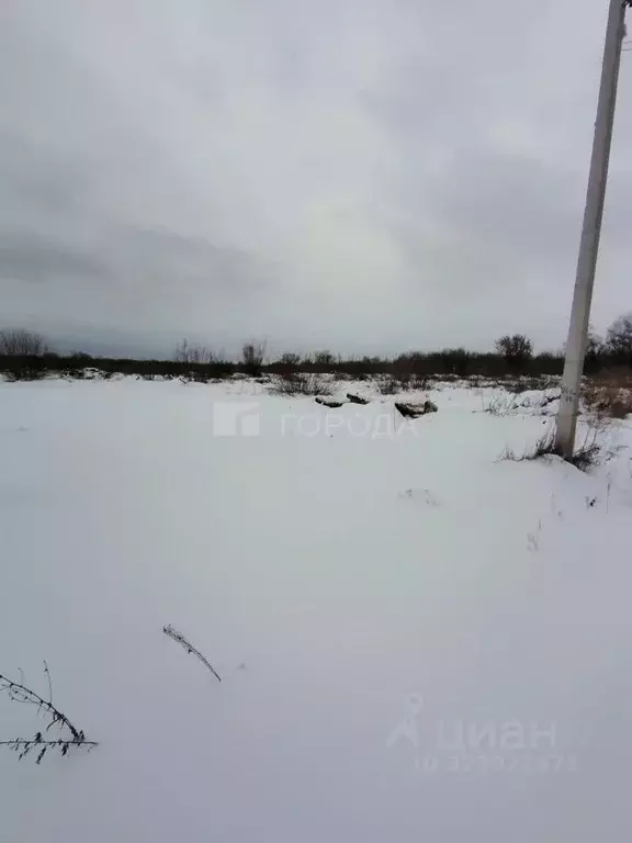 Участок в Алтайский край, Первомайский район, с. Фирсово ул. Акимова ... - Фото 1