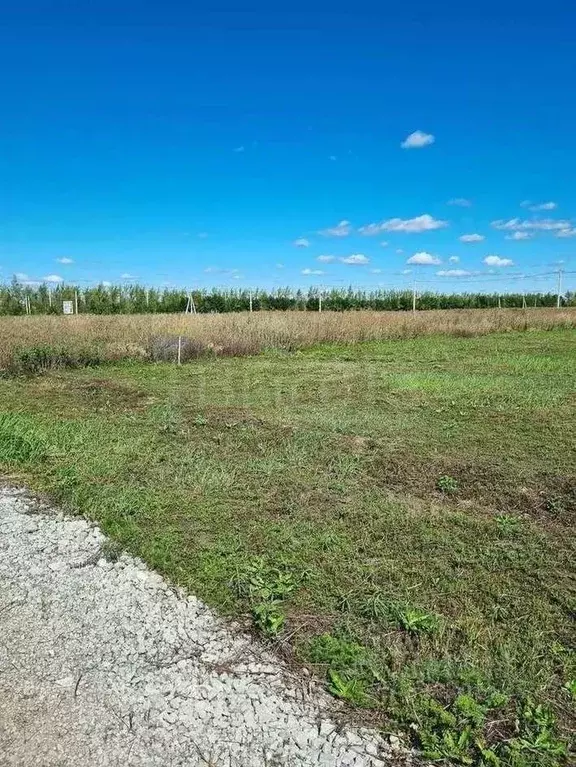 Участок в Воронежская область, с. Новая Усмань, Соловьиный мкр  (7.5 ... - Фото 2