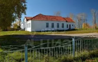 Помещение свободного назначения в Алтайский край, Змеиногорский район, ... - Фото 1