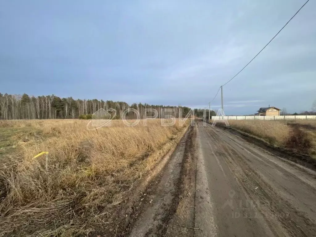 Участок в Тюменская область, Нижнетавдинский район, Геолог-2 СНТ  ... - Фото 1