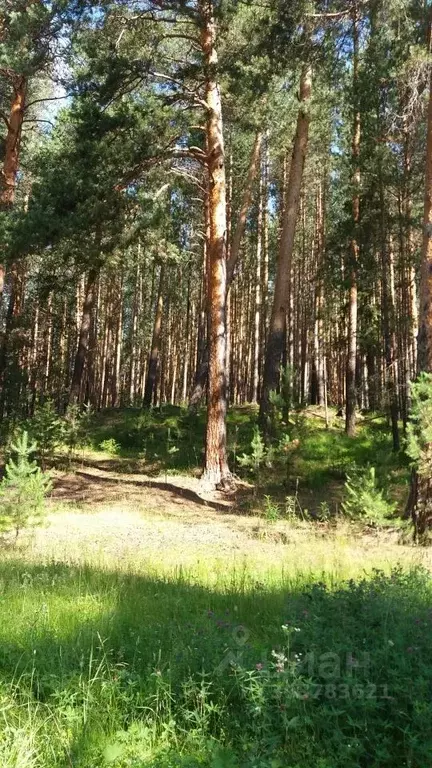 Участок в Свердловская область, Ревда городской округ, пос. Ледянка  ... - Фото 0