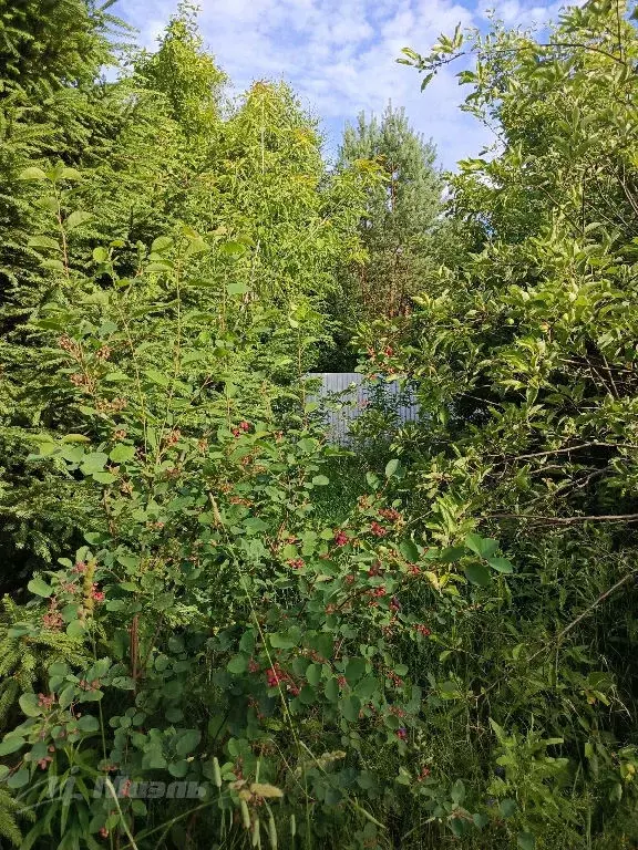 Продается участок в КП Скоротово - Фото 2